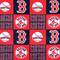 Boston Red Sox Block MLB Fleece by Fabric Traditions